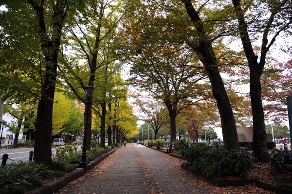 131110 p06 DSC_6470.jpg